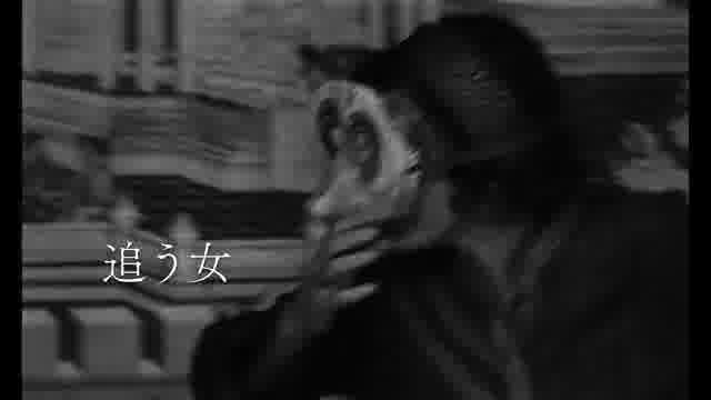 予告編