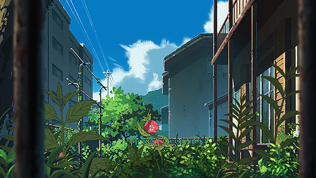 画像8