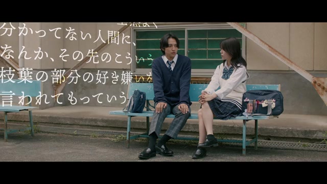 予告編