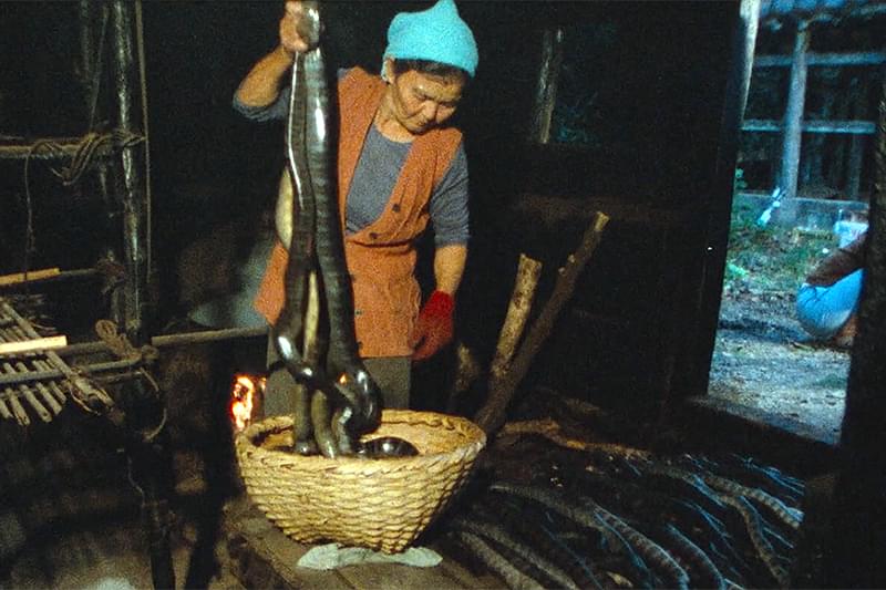 沖縄久高島のイラブー : 作品情報・キャスト・あらすじ・動画