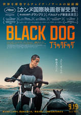 ブラックドッグ