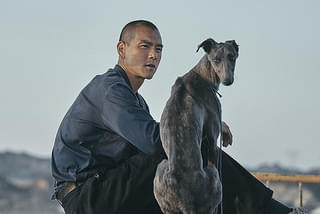 画像13