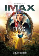 画像14