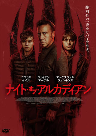 画像7