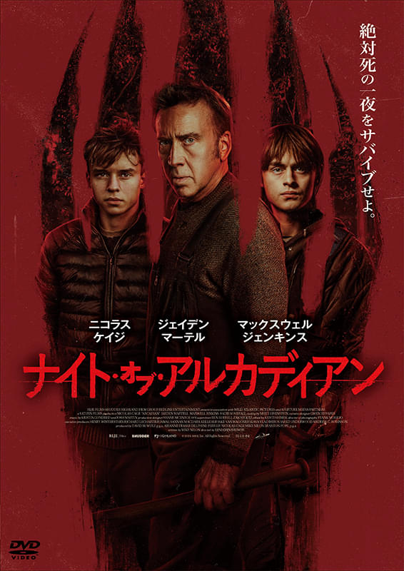 画像7