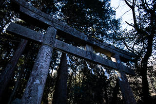 画像7