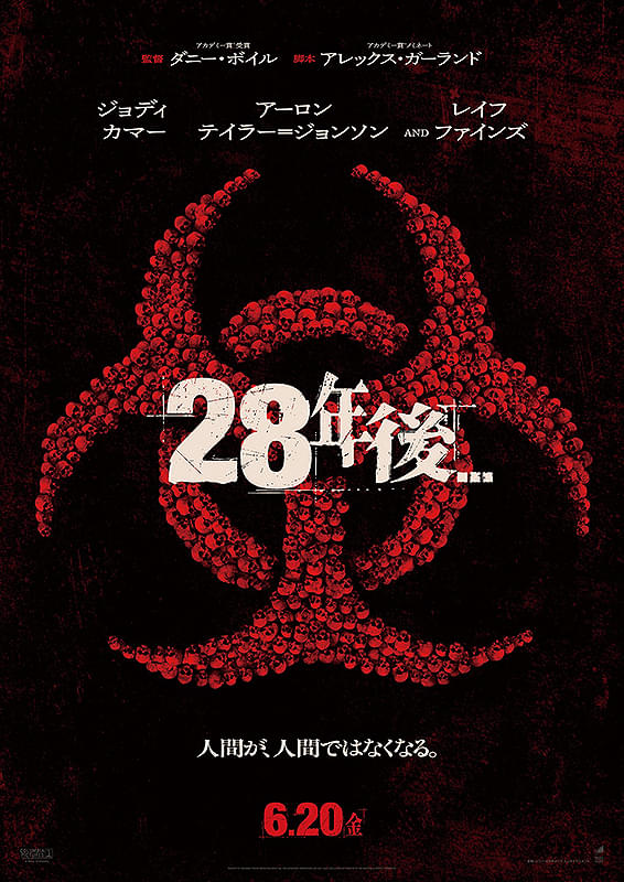 画像12