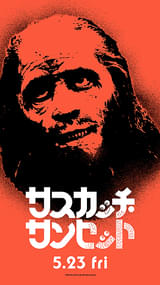 画像21