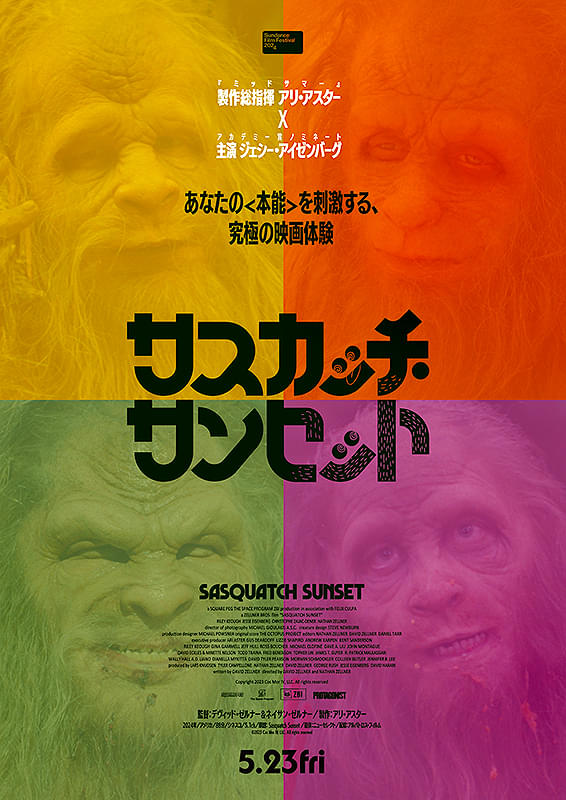 画像15