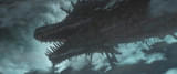 画像19