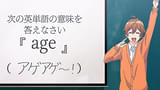 画像14