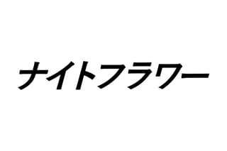 ナイトフラワー