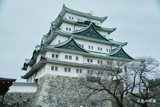 画像7