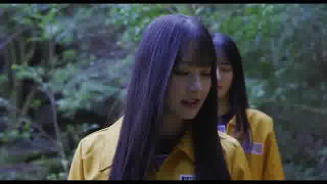 予告編