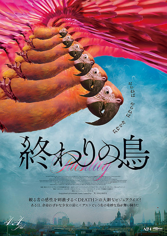 画像13
