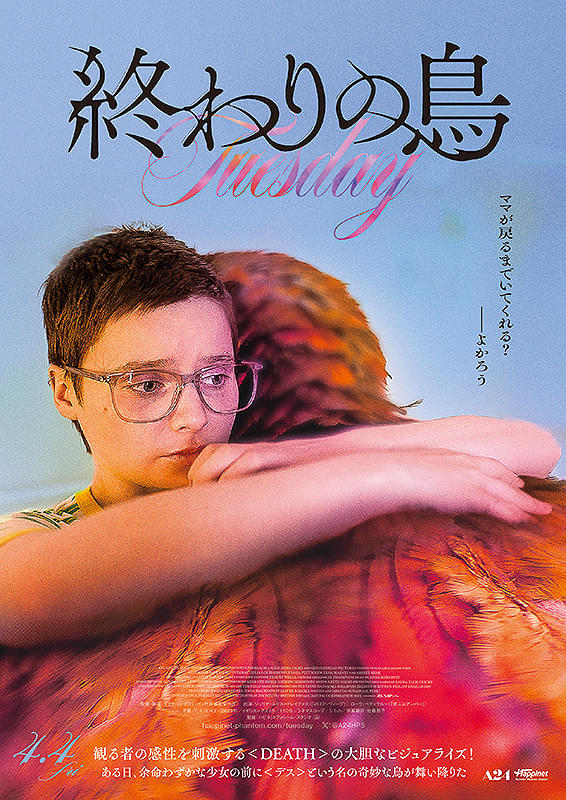 画像14