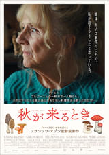 画像13