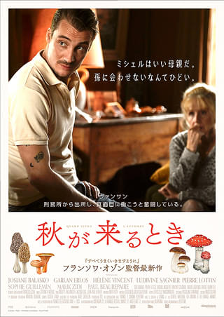 画像14
