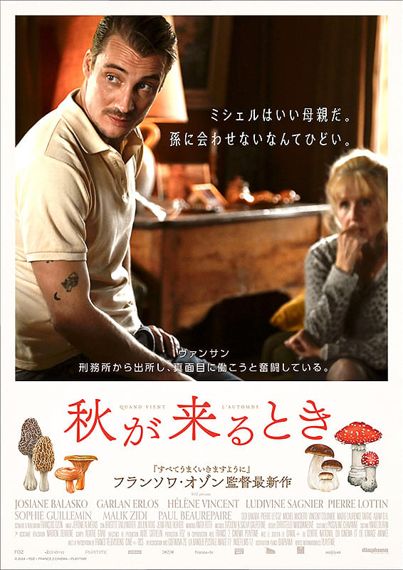 画像17