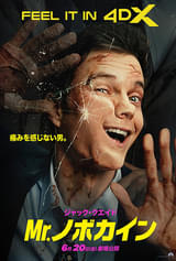 画像15
