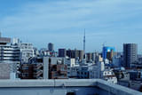 画像13