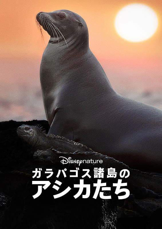 ポスター画像
