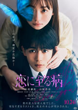 画像33
