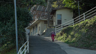 画像14