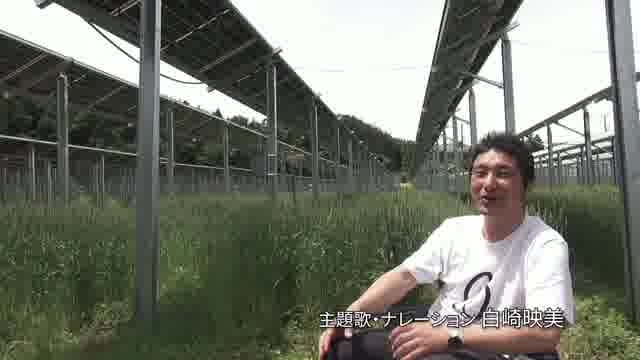 予告編