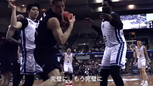 予告編