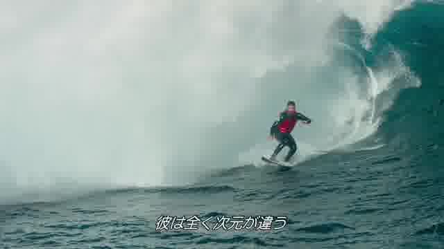予告編