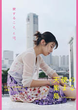 画像15