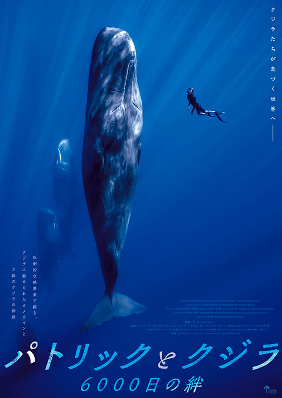ポスター画像