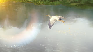 画像14
