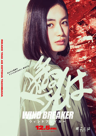 画像14