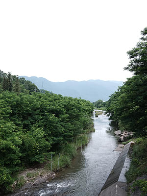 画像4