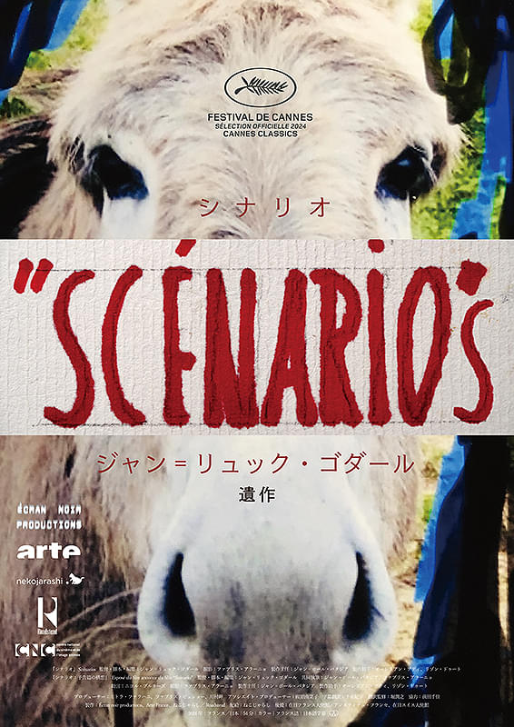 シナリオ