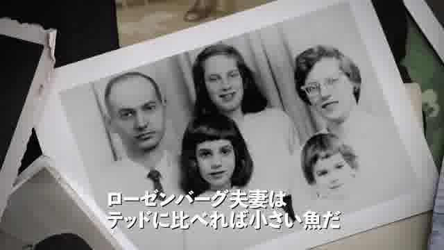 予告編