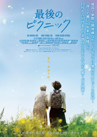 画像12