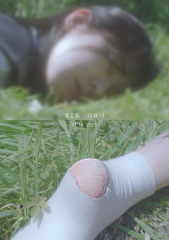 画像15