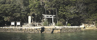 画像15