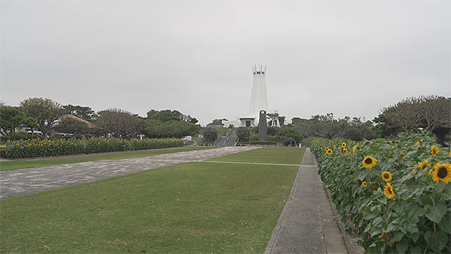 画像12