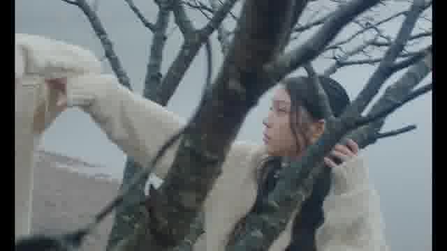 予告編