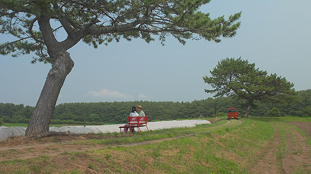 画像14