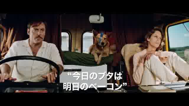 予告編