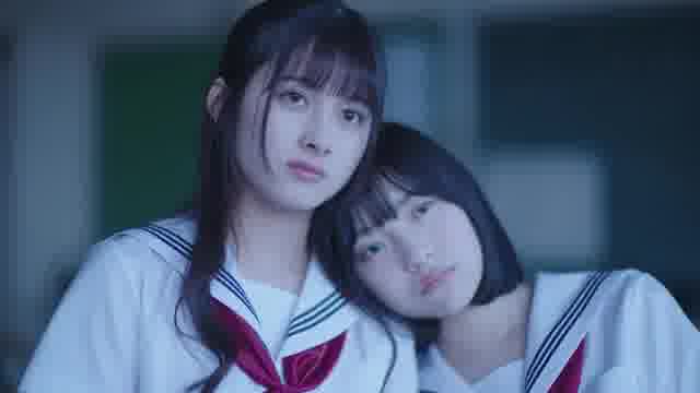 予告編
