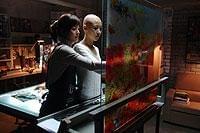 鬘 かつら : 作品情報 - 映画.com