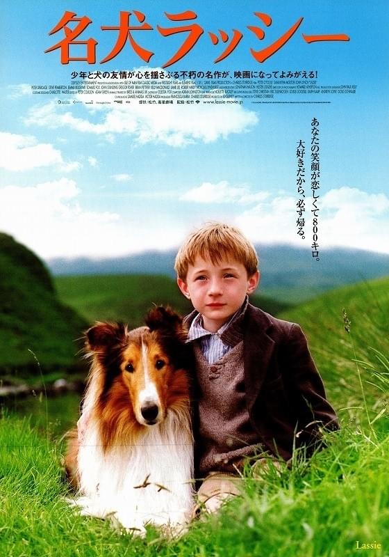 名犬ラッシー : ポスター画像 - 映画.com