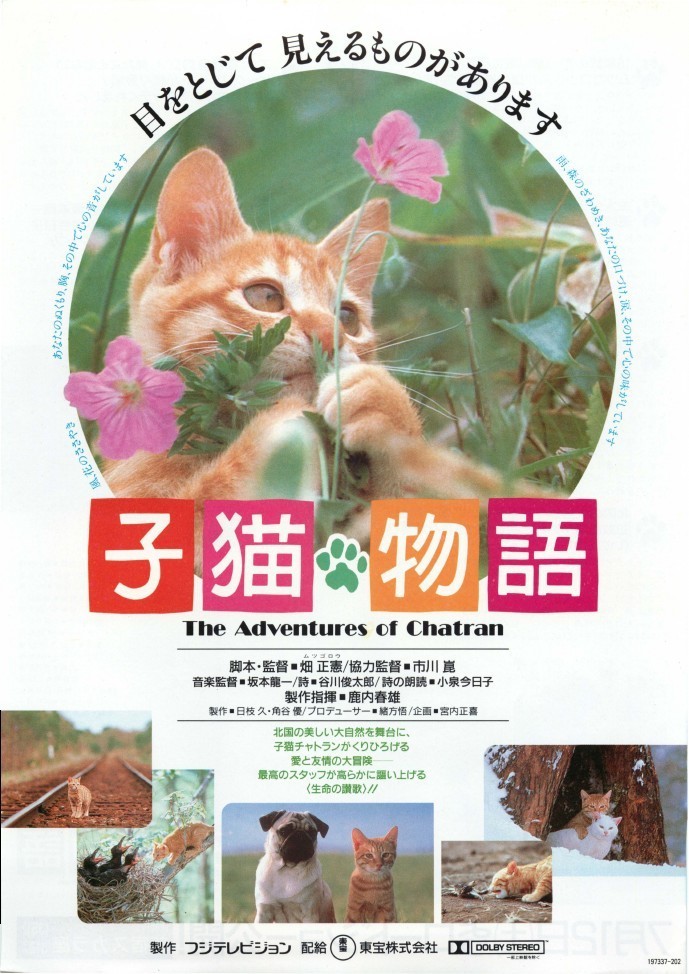 子猫物語('86子猫物語製作委員会)DVD