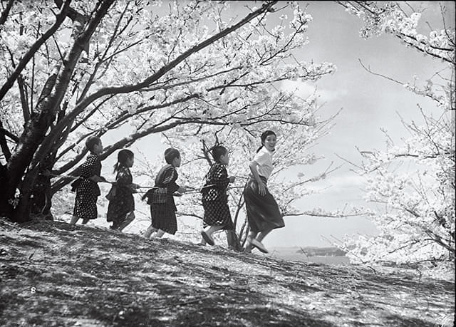 二十四の瞳（1954） : 作品情報・キャスト・あらすじ - 映画.com